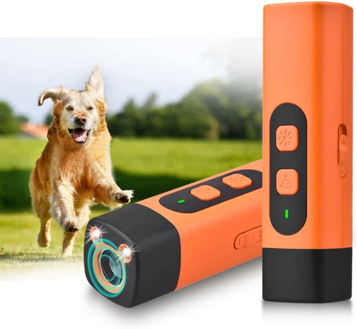 QuietPaws™  - The Gentle Solution for Excessive Barking