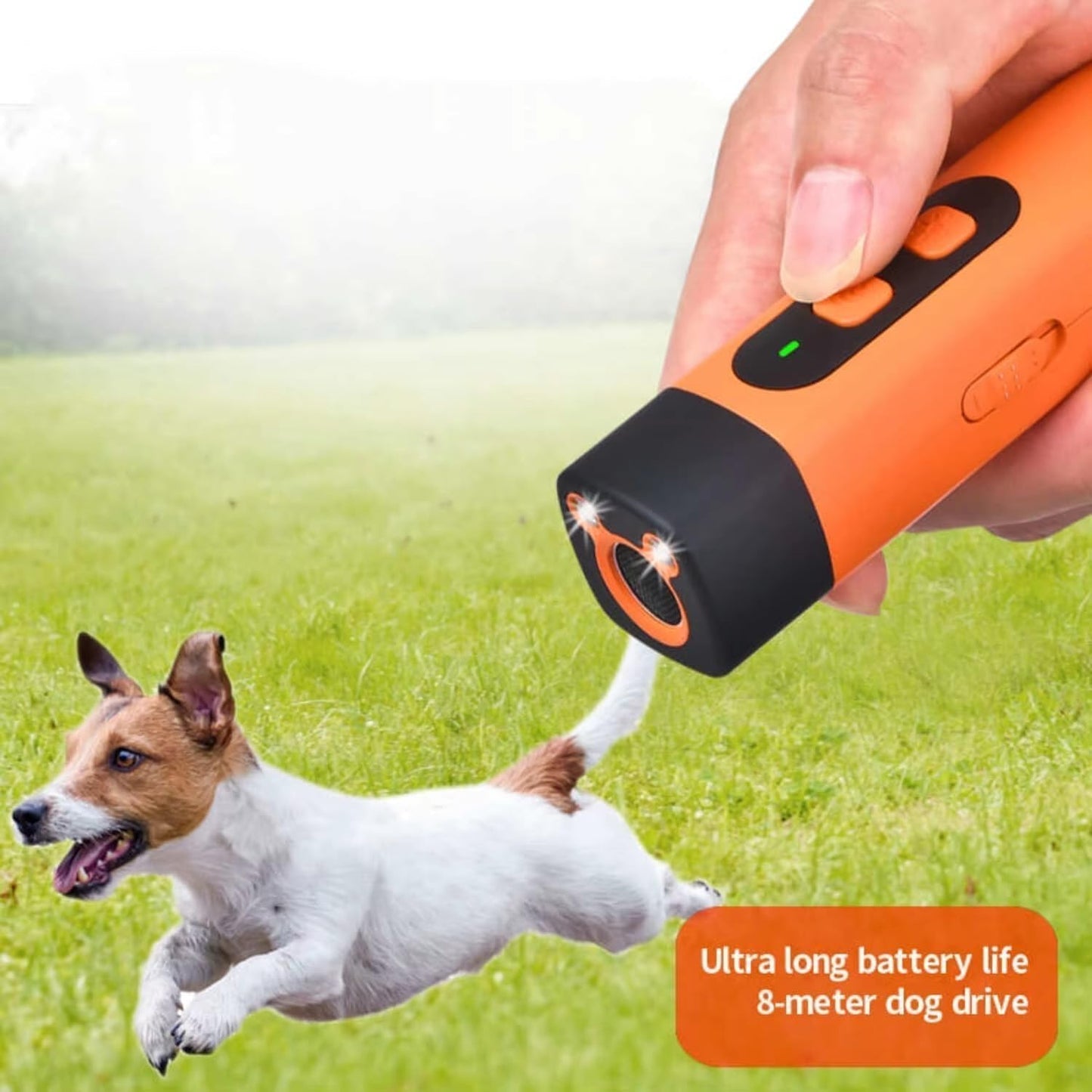 QuietPaws™  - The Gentle Solution for Excessive Barking