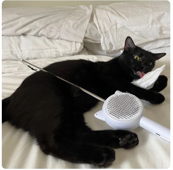 PurrfectGroom™ 5-in-1 Cat Brush